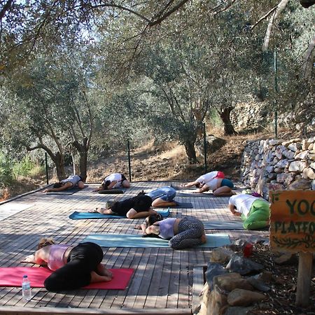 Yiva Kazdaglari Hotel Mehmetalani Luaran gambar
